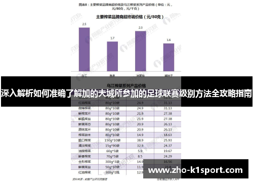 深入解析如何准确了解加的夫城所参加的足球联赛级别方法全攻略指南